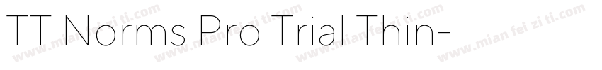TT Norms Pro Trial Thin字体转换